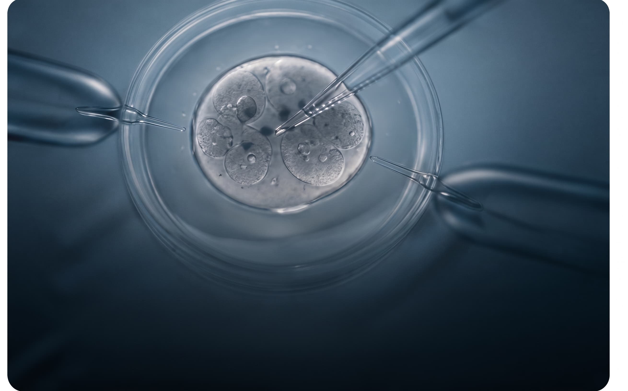 Advanced Fertility & Reproductive Medicine
