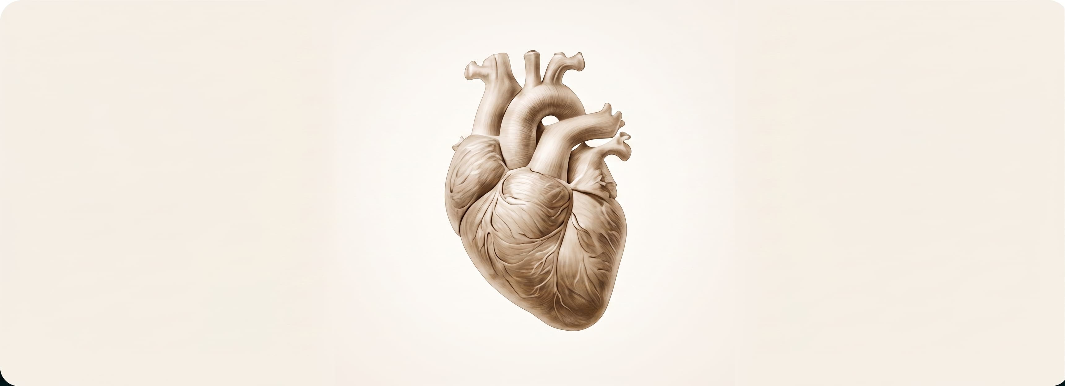 Heart & Cardiovascular Care