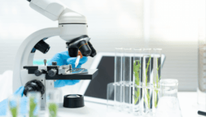 Genetic Diseases Treated with Gene Therapy