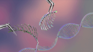 Genetic Diseases Treated with Gene Therapy