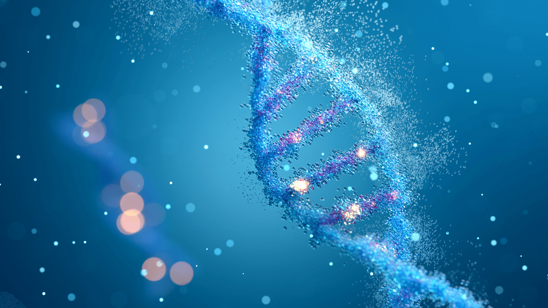 Longevity 